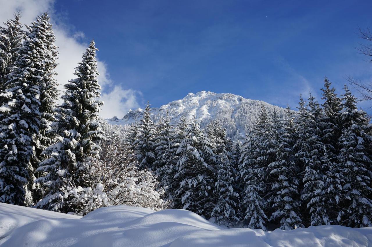 Naturhotel Alpenblick Maurach  Eksteriør bilde